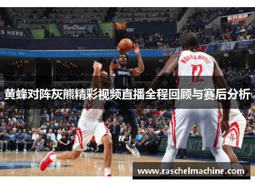 黄蜂对阵灰熊精彩视频直播全程回顾与赛后分析