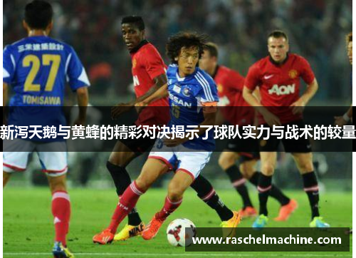 新泻天鹅与黄蜂的精彩对决揭示了球队实力与战术的较量